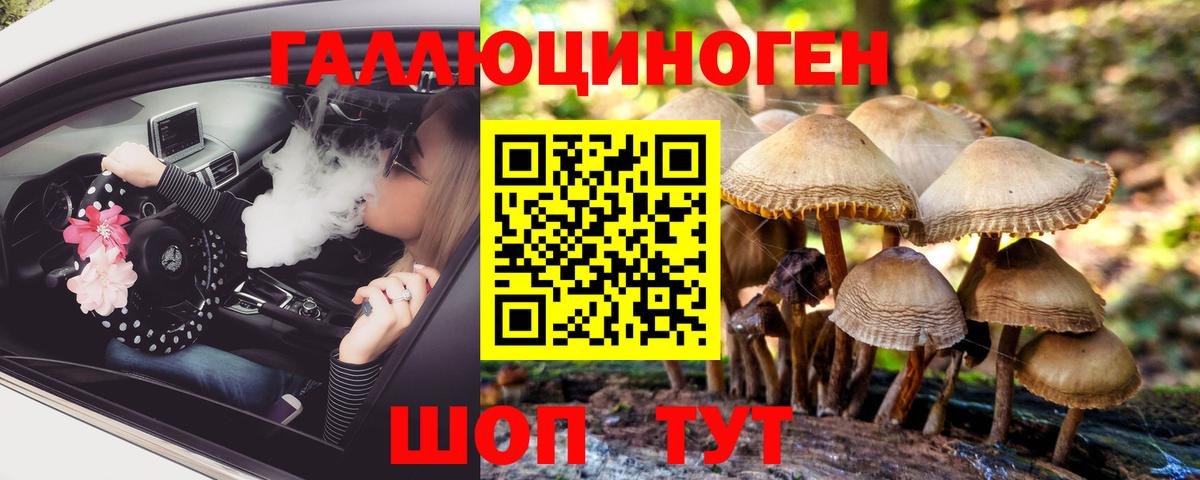 Псилоцибиновые грибы прущие грибы Мелеуз